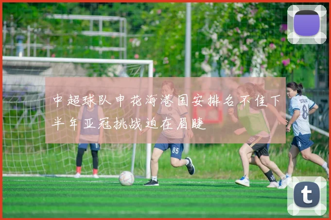 中超球队申花海港国安排名不佳下半年亚冠挑战迫在眉睫